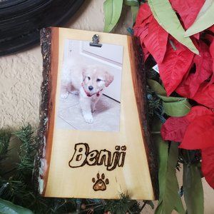 Personalized Dog Photo Frame/ 8x11 Wood Burned